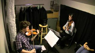 Andrew Tholl -- micro compositions for violin duo