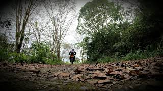 Re: [問題] 抉擇: CRF300 rally vs. KTM 390 adv