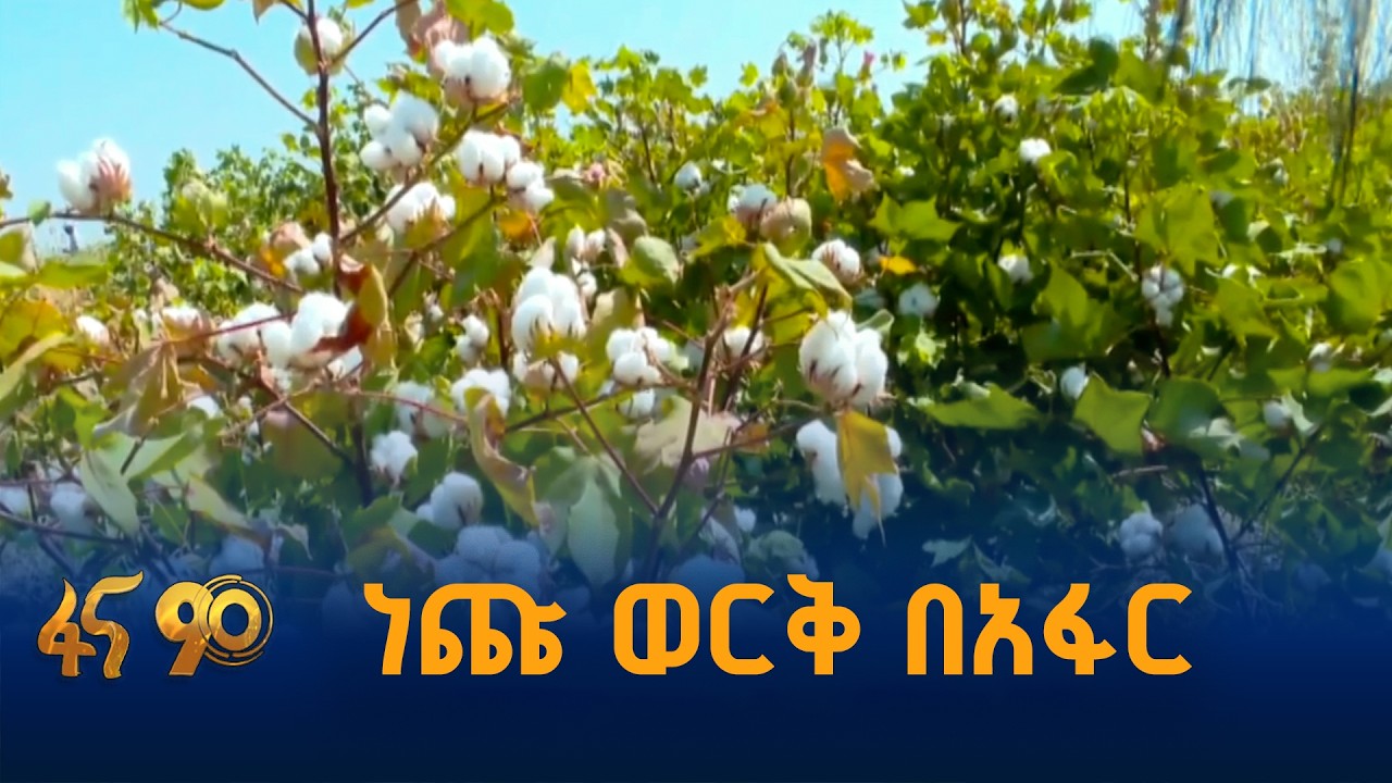 አፋር ከቱሪዝም በሻገር