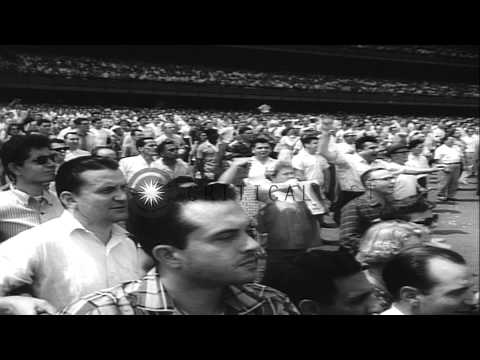 Racehorse Kelso with jockey Eddie Arcaro wins Handicap Triple crown at the Aquedu...HD Stock Footage