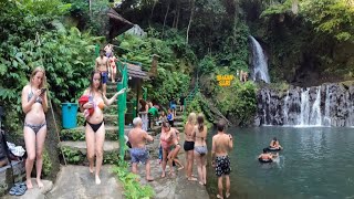 Download lagu bali !! taman sari waterfall bali hari ini ( 16/10/24 ) mp3 Download lagu bali !! taman sari waterfall bali hari ini ( 16/10/24 ) mp3