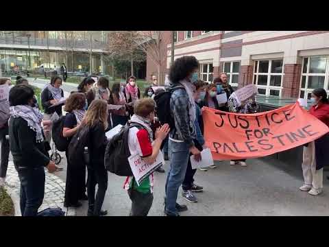 Asmer Safi youtube video #3