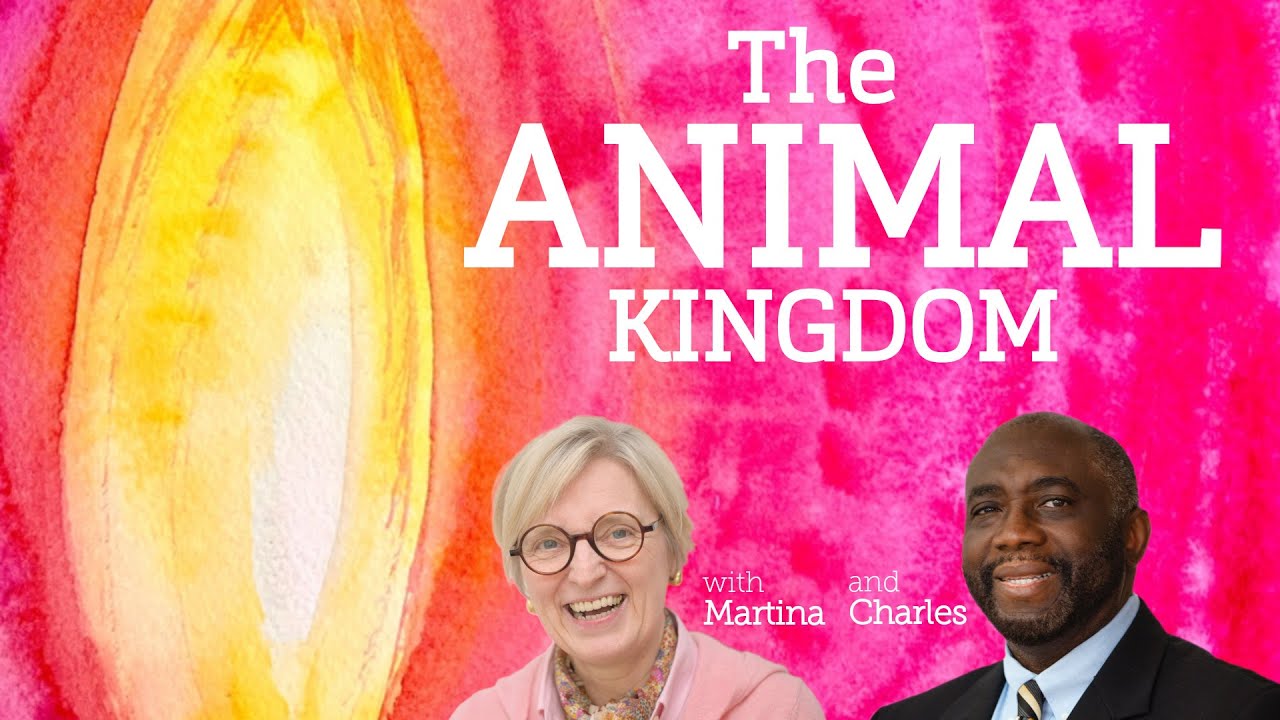 The SANAT KUMARA - AoL34 2025 - The Animal Kingdom