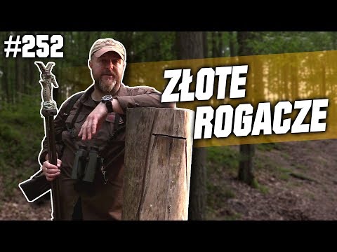 Darz Bór odc 252 - Złote Rogacze