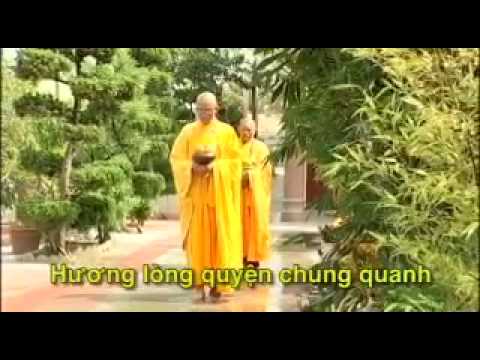 Thiền hành - Nhã Phương