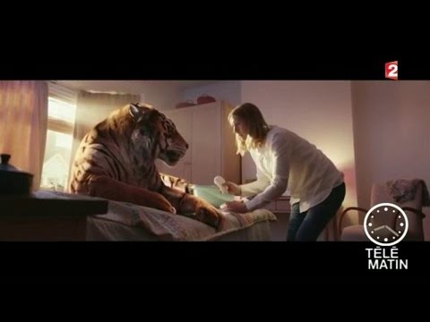 download lagu mp3 mp4 Wwf Publicit, download lagu Wwf Publicit gratis, unduh video klip Wwf Publicit