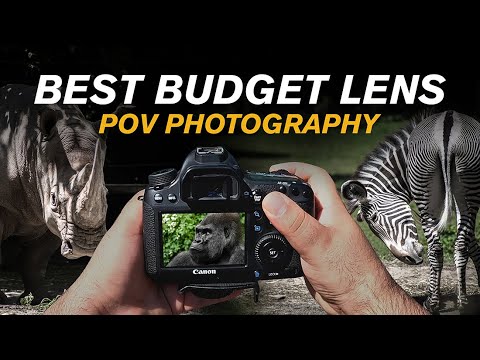 BEST budget LENS POV PHOTOGRAPHY - 75-300mm [Bronx Zoo]