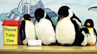 Kids House of Seminole - Children's Advocacy Center