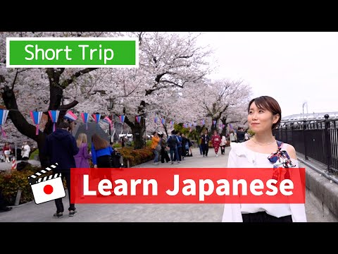 Super Easy Japanese for Beginners: Learn Adjectives in Tokyo!