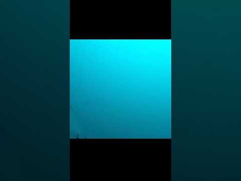 Real or Fake 😱 #mysterious #shorts #tiktok #trending #shark #mermaid #found #in #ocean #gopro #spyin