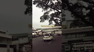 Download lagu HORASS!! LAGU BATAK MARDUA HOLONG VERSI TIKTOK!!!! mp3