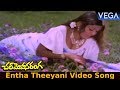 Chal Mohana Ranga Movie Songs Entha Theeyani Video Song Krishna Deepa Jayamalini
