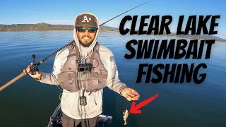 Pesca con señuelos tipo swimbait en Clear Lake | La pesca fue DIFÍCIL