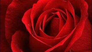 Yavuz Bingöl-Kirmizi Gül Demet Demet