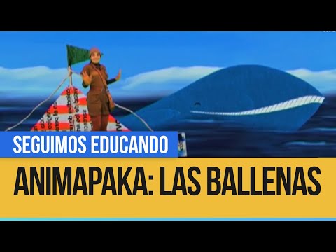 Animapaka: Las Ballenas