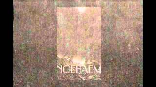Anenzephalia - V