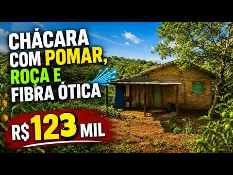 Vídeo