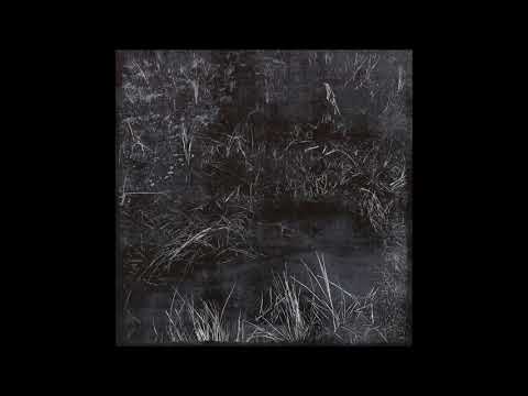 Extravaganza (Lithuania) — A.N.I.N. — 2021 EP