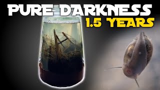 Keeping Pond Life in COMPLETE DARKNESS for 1.5 YEARS