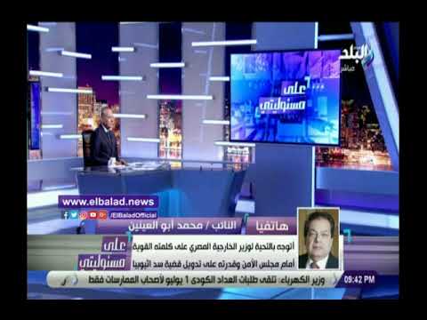 محمد أبو العينين سامح شكري أبدع .. واستطاع تدويل قضية سد النهضة