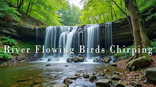 River Flowing Birds Chirping, Forest River Ambience with Soothing Music for Sleep and Feel at Peace