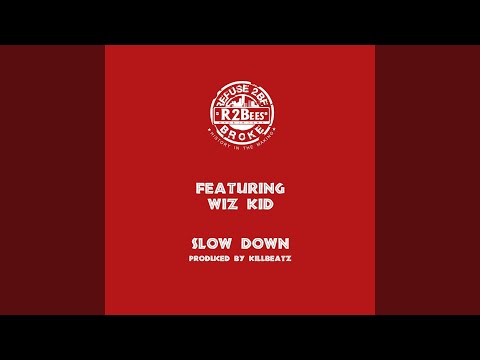 Slow Down (feat. Wiz Kid)