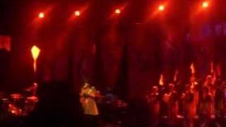 Björk Bogota COCOON