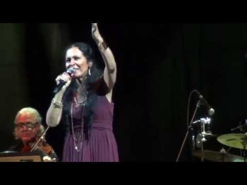Diana Pequeno - TREM DO PANTANAL