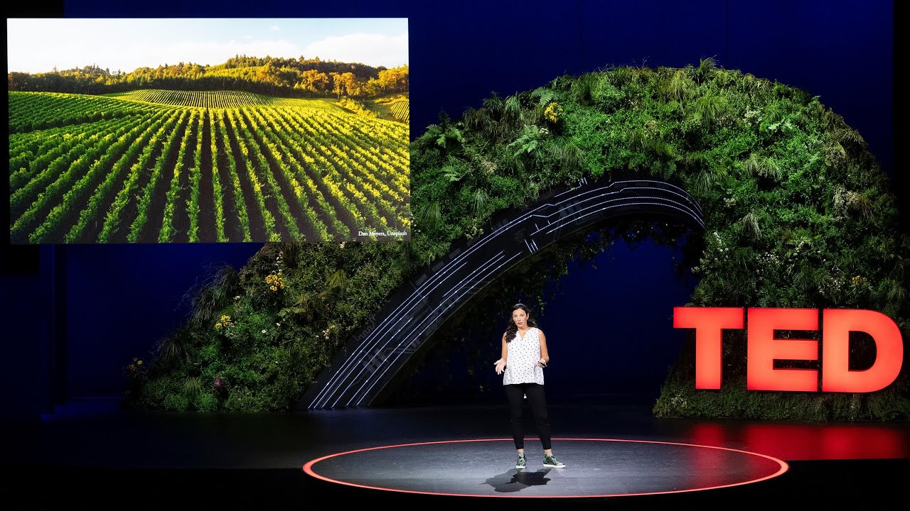 The Hidden Wonders of Soil | Jane Zelikova | TED