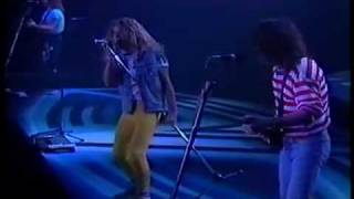 Van Halen LIVE 1989 Tokyo Concert part 2 /14 - Summer Nights - HIGH QUALITY - GFS