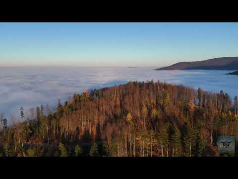 Brenna - Błatnia - 10.11.2024 r.