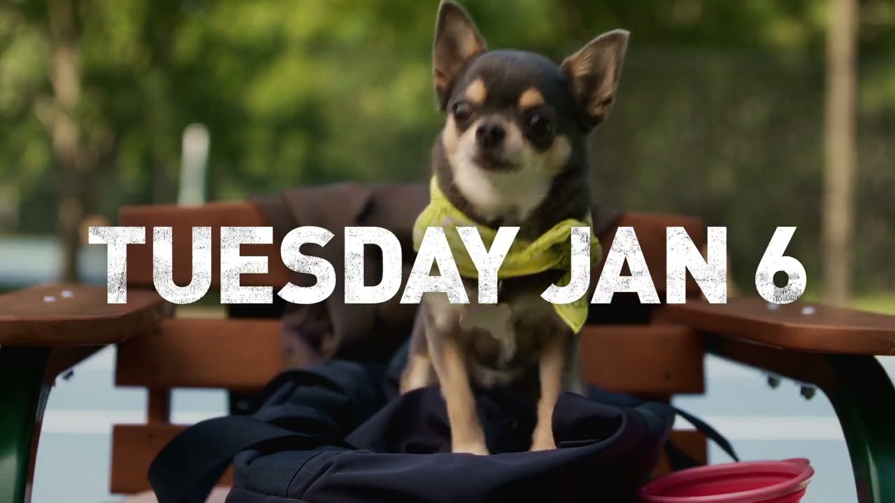 ウィル・トレント - ABC で 1 月 6 日火曜日にプレミア公開 - YouTube