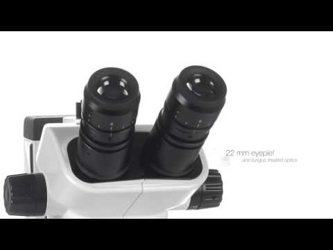 45 (zoom lens) euromex stereo zoom microscope, is it portabl...