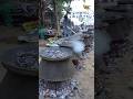 Surat Muslim Wedding Ki 50 Degh Wali Mutton Biryani Bulk Making Process Gujaratfood Shorts