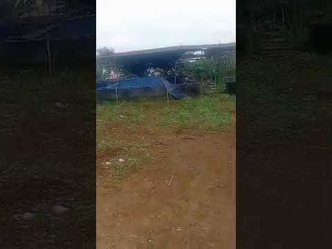 2 Plot Of Dry Land for Sale – Awoyaya