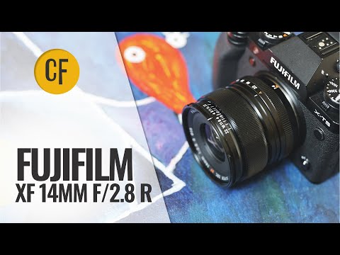 Video thumbnail for Video Review 1