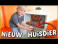 LUAN KRiJGT EEN HUiSDiER ? | Bellinga Vlog #1471