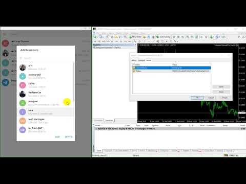 Video Telegram Channel MT4