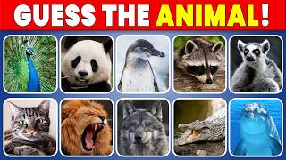 Test Your Animal Knowledge: Guess the Animal! 🦁🔍 | Who's That Animal?