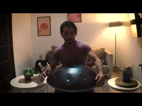 Aukin Handpan - E Kurd 9