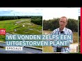 Veel variatie in flora en fauna bij het Witterdiep | Spetterend Drenthe (4)