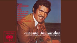 Vicente Fernández - Hoy He Visto Parar A María (Cover Audio)