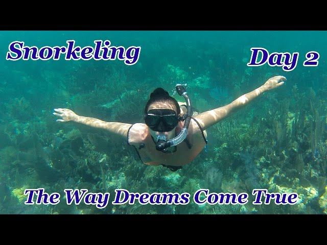 Banana Reef Snorkeling | John Pennekamp Coral Reef State Park | Key Largo | GoPro HD