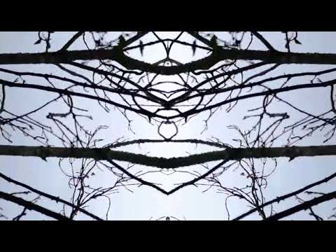 HELLO STRANGER - OPEN CIRCLE - I Lost Myself Film