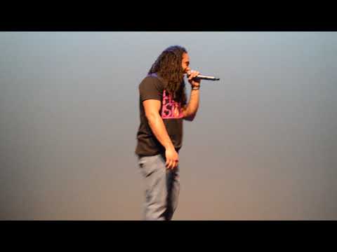 Molotov Mall live performance