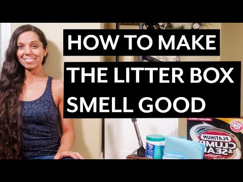 How to Make Your Litter Box Smell Good