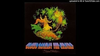 Jefferson Starship - Hijack (Paul&#39;s Acoustic Demo Tk.5)