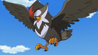 All Ash's Staraptor moves