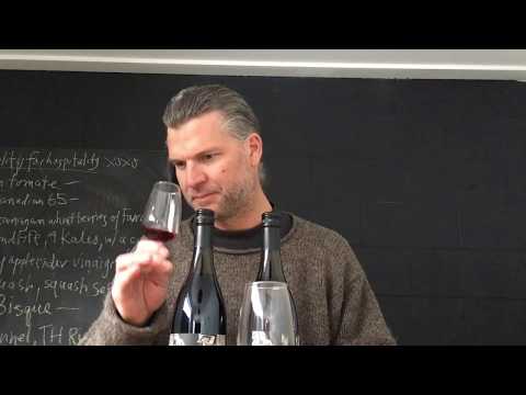 Comparative tasting of TH Wines Pinot Noir 2016 and 2015.