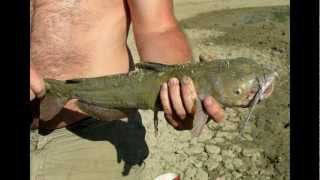 preview picture of video 'Catfishing In Dry West Texas'